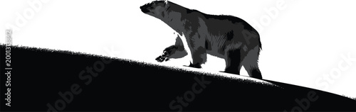 Black Bear Walking on Hill Isolated on White Background