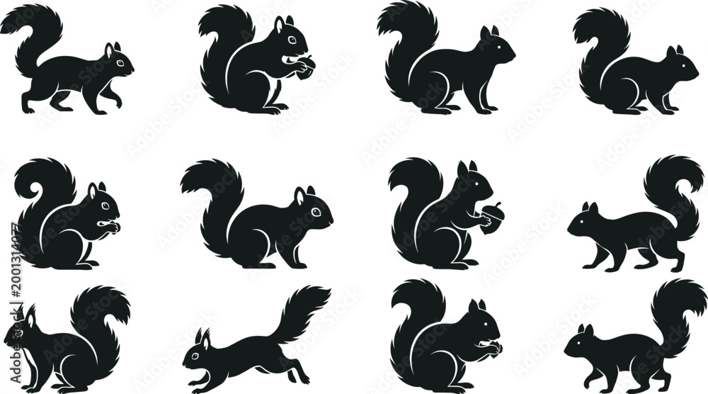 Fototapeta premium Squirrel silhouettes collection with various poses including sitting, jumping and eating for wildlife, nature and animal design projects