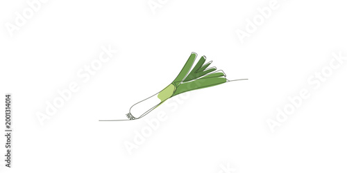 Картината върху платно A green scallion or green onion with roots on a white background