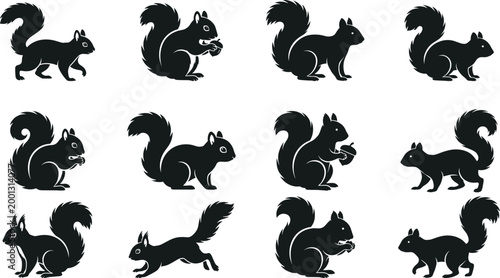Squirrel silhouettes collection with various poses including sitting, jumping and eating for wildlife, nature and animal design projects