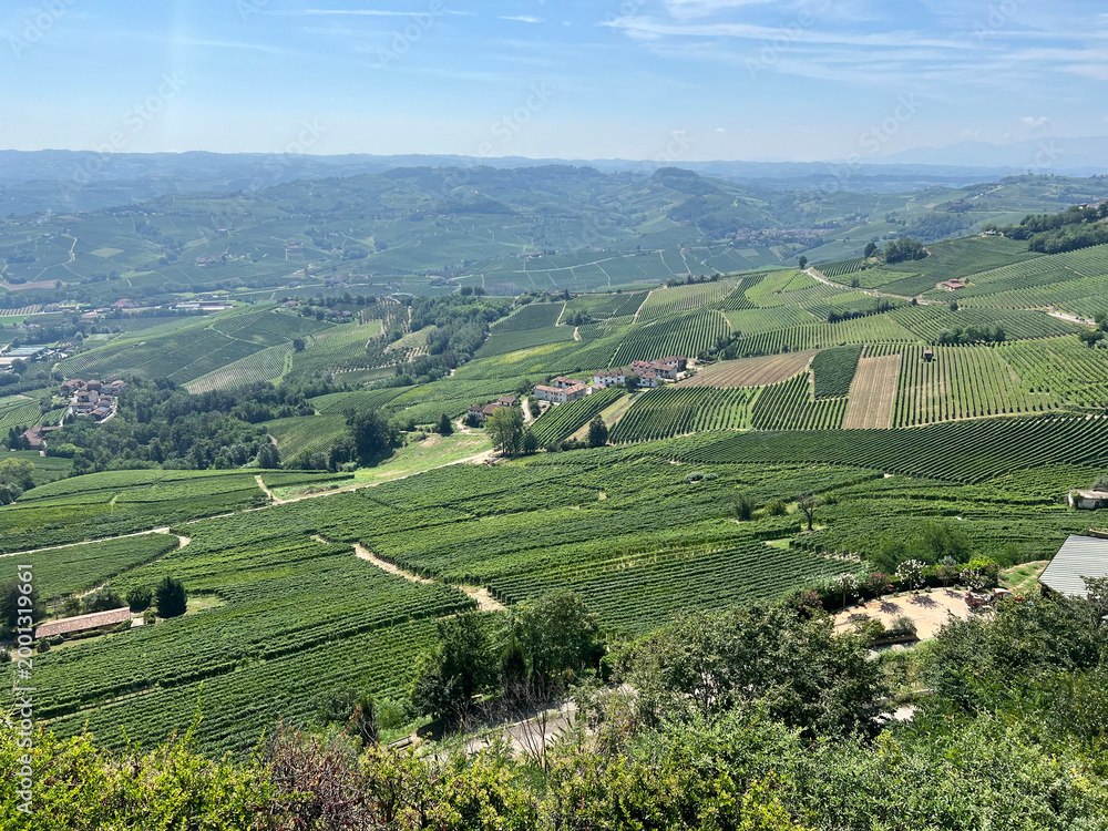 Obraz premium Panoramic View of Rolling Vineyards in La Morra Piedmont Italy
