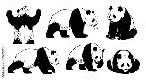 Set of Hand Drawn Panda Bear Illustrations