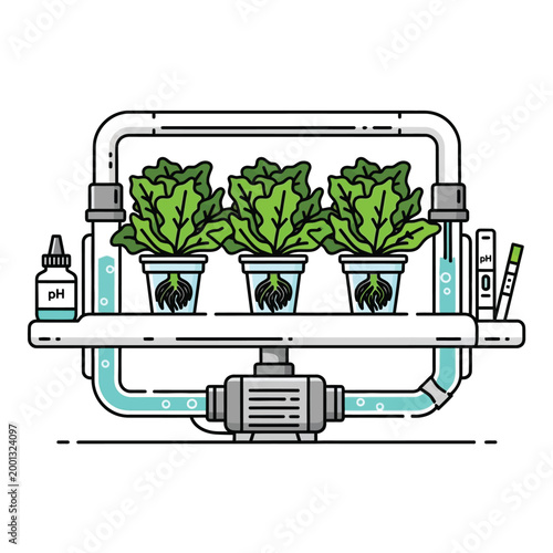 Illustration of a hydroponic system with lettuce plants growing in water, showing nutrient solution circulation and pH testing equipment.