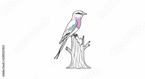 A colorful bird with pastel accents perched on a rustic wooden stump
