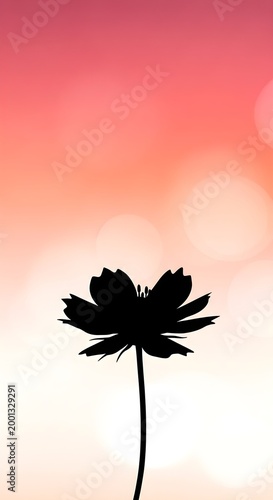 Vertical Silhouette of Cosmos Flower with Dreamy Sunset Bokeh Background
