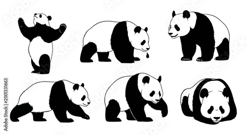 Set of Giant Panda Silhouettes in Various Poses ? Wildlife Vector Art