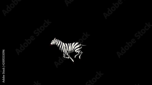 Cartoon Zebra alpha matte 2D animation HD