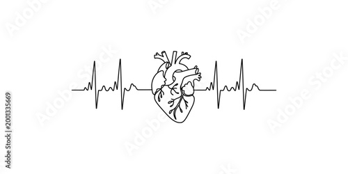 A line drawing of a human heart with an electrocardiogram ecg heartbeat rhythm line on a white background