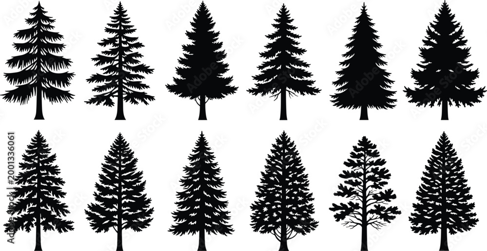Obraz premium Silhouette Collection of Pine and Fir Trees for Nature, Forest, and Landscape Designs