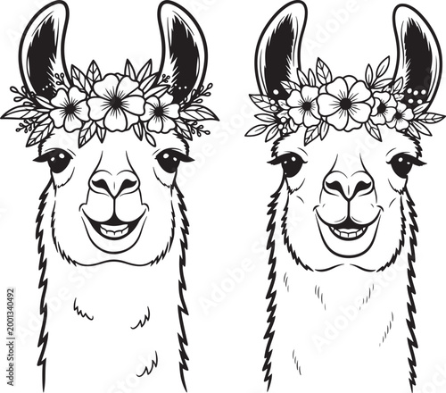 Close-up illustration of two llamas wearing floral wreaths on their heads with black and white cute animal llama love south america pet portrait animal face floral design farm animal domestic