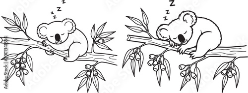 Two koalas sleeping on tree branches with leaves baby animal sleeping australia wildlife eucalyptus outdoors creature marsupial arboreal endangered wildness peaceful tranquil environment