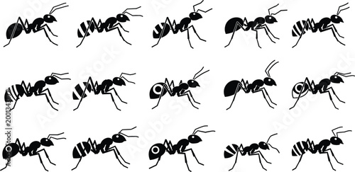 Black ant silhouettes set with different poses detailed insect collection minimal vector illustration isolated on light background