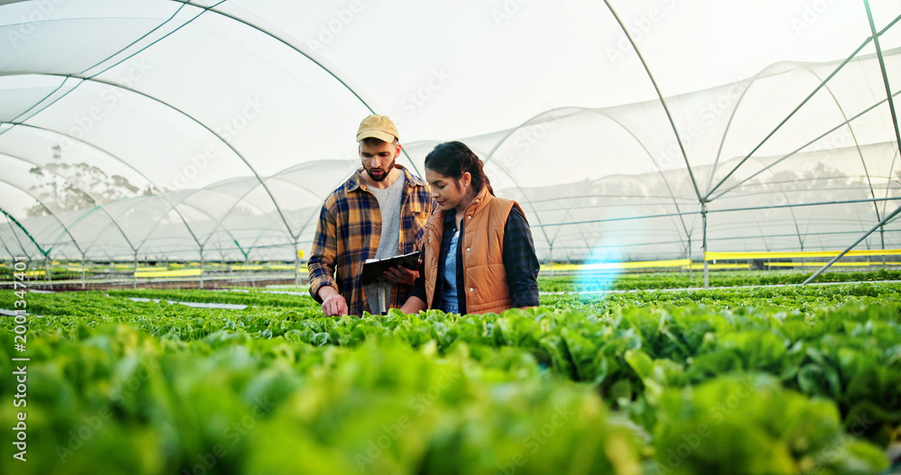 Fototapeta premium Growth, discussion or people on farm with clipboard for check list, sustainability or harvest. Agriculture, greenhouse and farmer team with agro business for quality control, healthy crops or produce