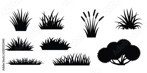 Black silhouette grass clumps and bush on white background