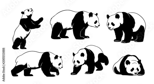 Set of Panda Bear Silhouettes in Various Poses