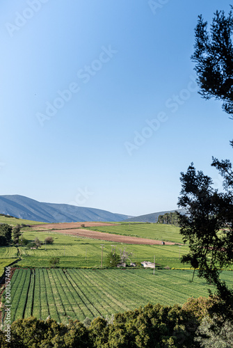 Vertical photo of  green fields and blue sky .Rural landscape int the countryside.