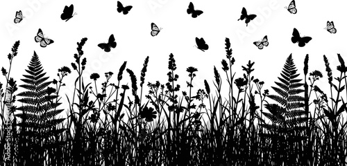 Wide panoramic black and white vector silhouette of a meadow field with various wild grasses ferns and flying butterflies.