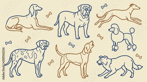 Collection of diverse purebred canine silhouettes for veterinary marketing and pet care educational materials