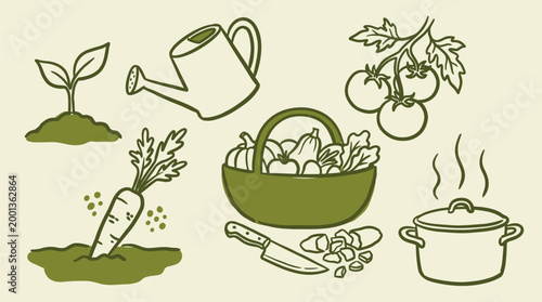 Sustainable home gardening and vegetable cultivation for organic cooking and healthy lifestyle preparation