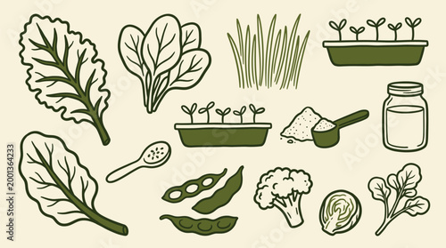 Organic superfood ingredients and homegrown vegetable cultivation icons for healthy lifestyle branding and nutritional wellness education