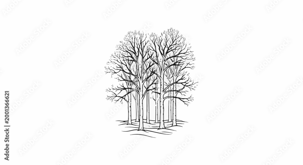 Fototapeta premium Black and white line drawing of a cluster of bare trees