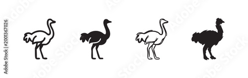Set of Ostrich Icons: Two Line Art, Two Solid Black Silhouettes