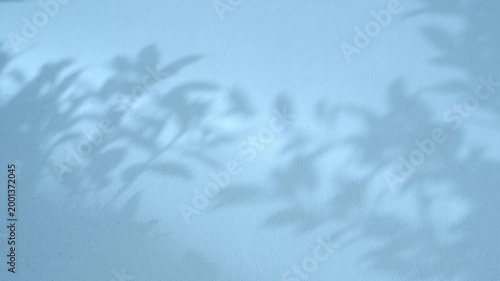 4K Minimal silhouette shadow light of tropical leaves swaying in the wind on aqua blue color clean cement wall background in slow motion. for summer, healthy concept