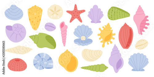 Colorful seashell set in flat vector style. Coastal shapes including starfish, scallop, spiral, and conch isolated on white background. Perfect for summer design, ocean theme, decoration