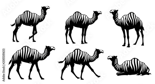 Set of Camel Silhouettes with Zebra Stripes Pattern