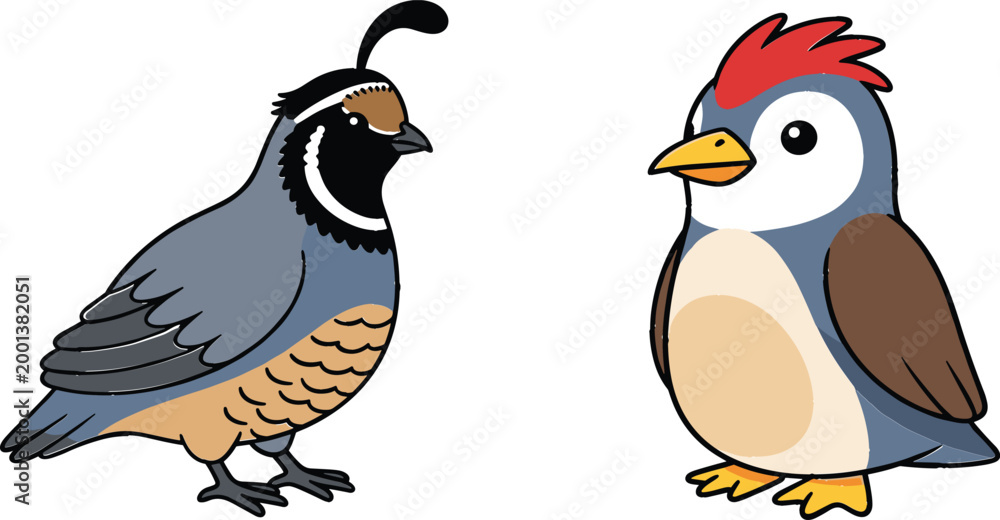 Fototapeta premium Cartoon bird characters set featuring quail and woodpecker, cute colorful wildlife animals in flat vector style, isolated illustration for kids education and nature design