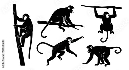 Set of Monkey Silhouettes in Various Poses