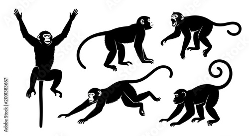 Set of Monkey Silhouettes in Various Poses
