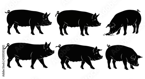 Set of Pig Silhouettes in Various Poses