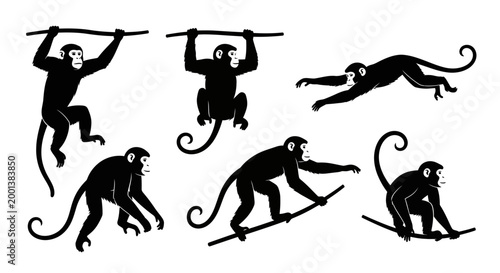 Monkey silhouettes set in various poses, wild jungle animals, black graphic illustrations