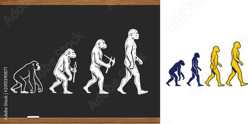Human evolution illustration showing ape to modern man progression timeline concept with silhouettes isolated on white background for education design