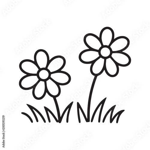 Photos Simple Daisy Flowers Grass Illustration
