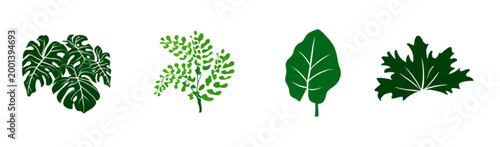 set of green leaves