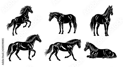 Set of Black Horse Silhouettes in Various Poses ? Elegant Equine Art
