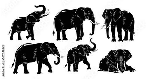 Set of Black Elephant Silhouettes in Various Poses