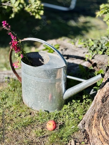 A rustic metal watering can filled with flowers standing on grass in a garden setting, with a fallen apple nearby. The scene captures a natural countryside atmosphere with warm light. 