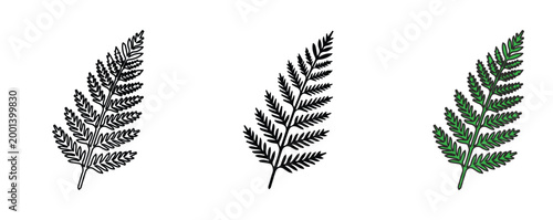Bilde på lerret Vintage fern leaf vector set, botanical forest foliage illustrations, hand drawn