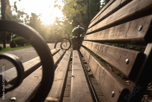 Park bench on a bright spring day at sunset. Close-up image