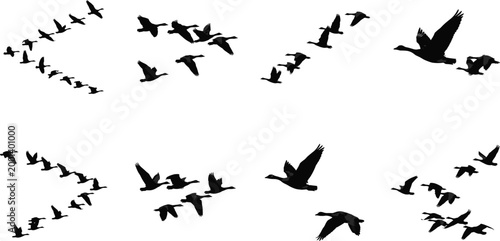 Flying geese silhouettes flock migration patterns wildlife birds in flight vector illustration set