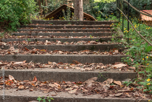 The steps in the park are completely covered with yellow leaves.