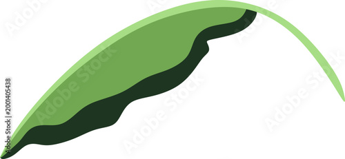 Green Banana Leaf Illustration