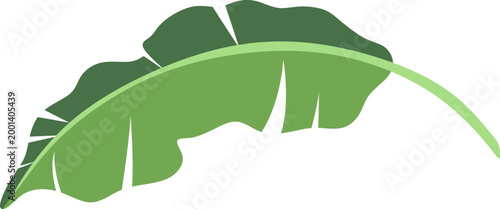 Green Banana Leaf Illustration