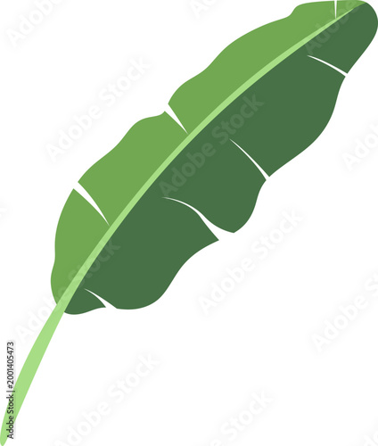 Green Banana Leaf Illustration