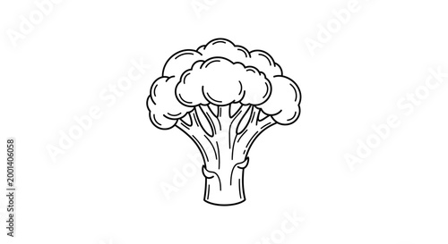 Hand Drawn Broccoli Vegetable Line Art Illustration