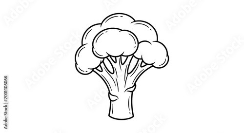 Hand Drawn Broccoli Vegetable Sketch Vector Illustration