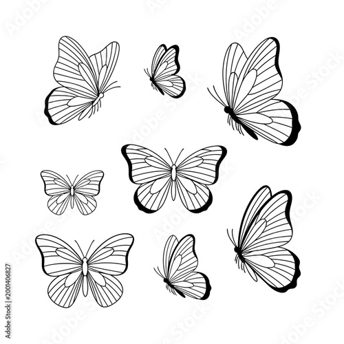 Butterfly Vector Line Art Illustrations Set on White Background